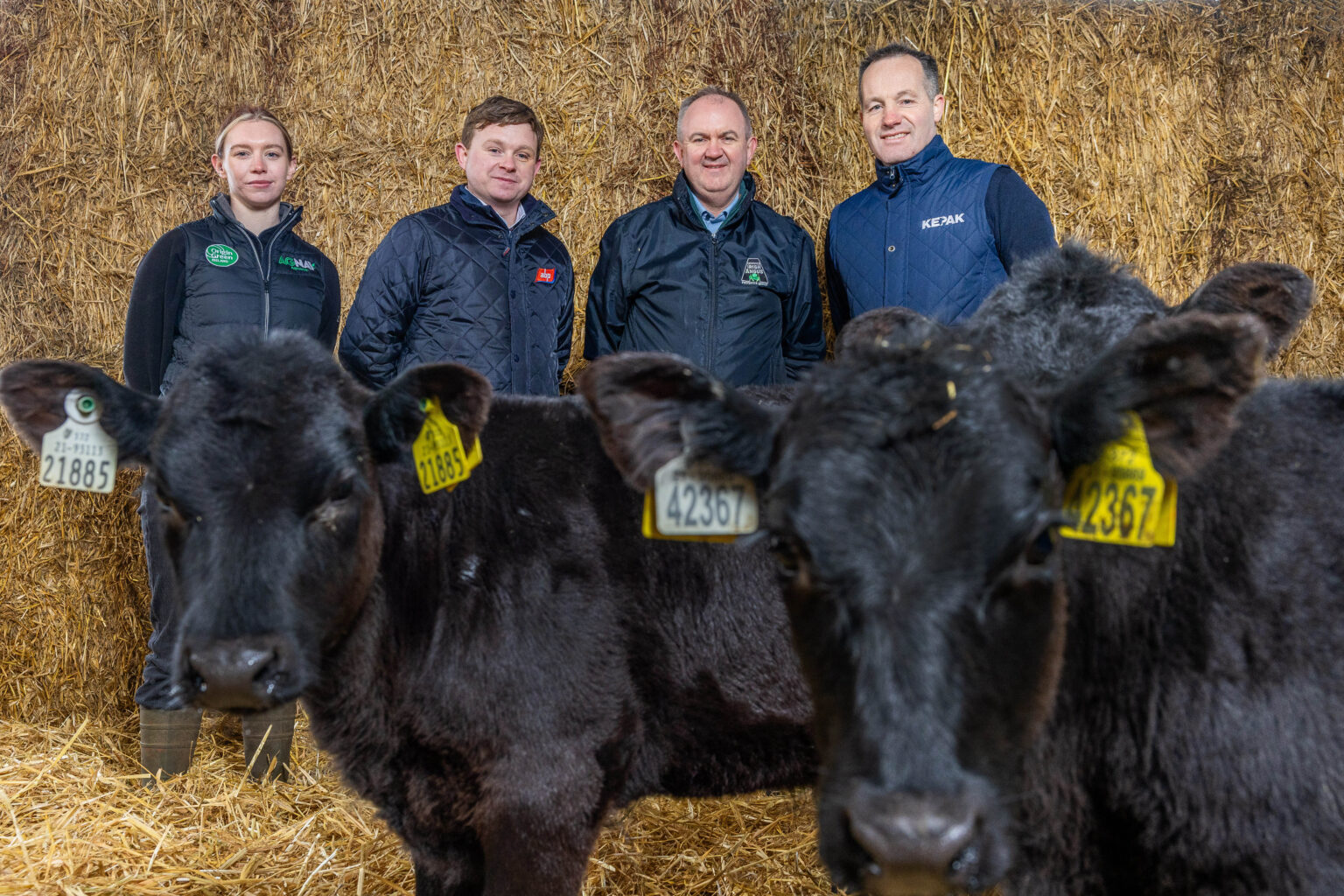 Certified Irish Angus Beef – Raised with pride and certified