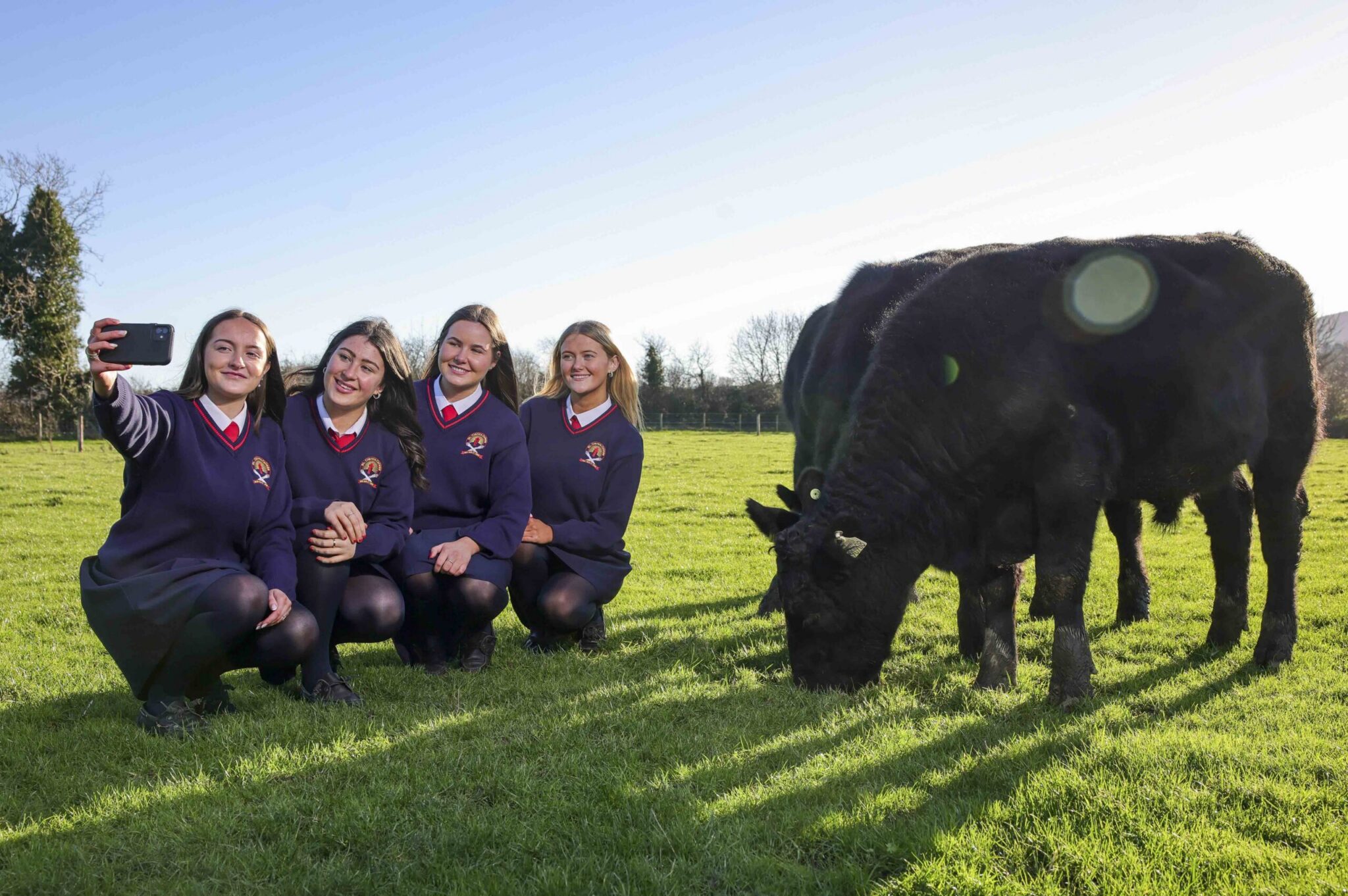 Certified Irish Angus Beef – Raised with pride and certified