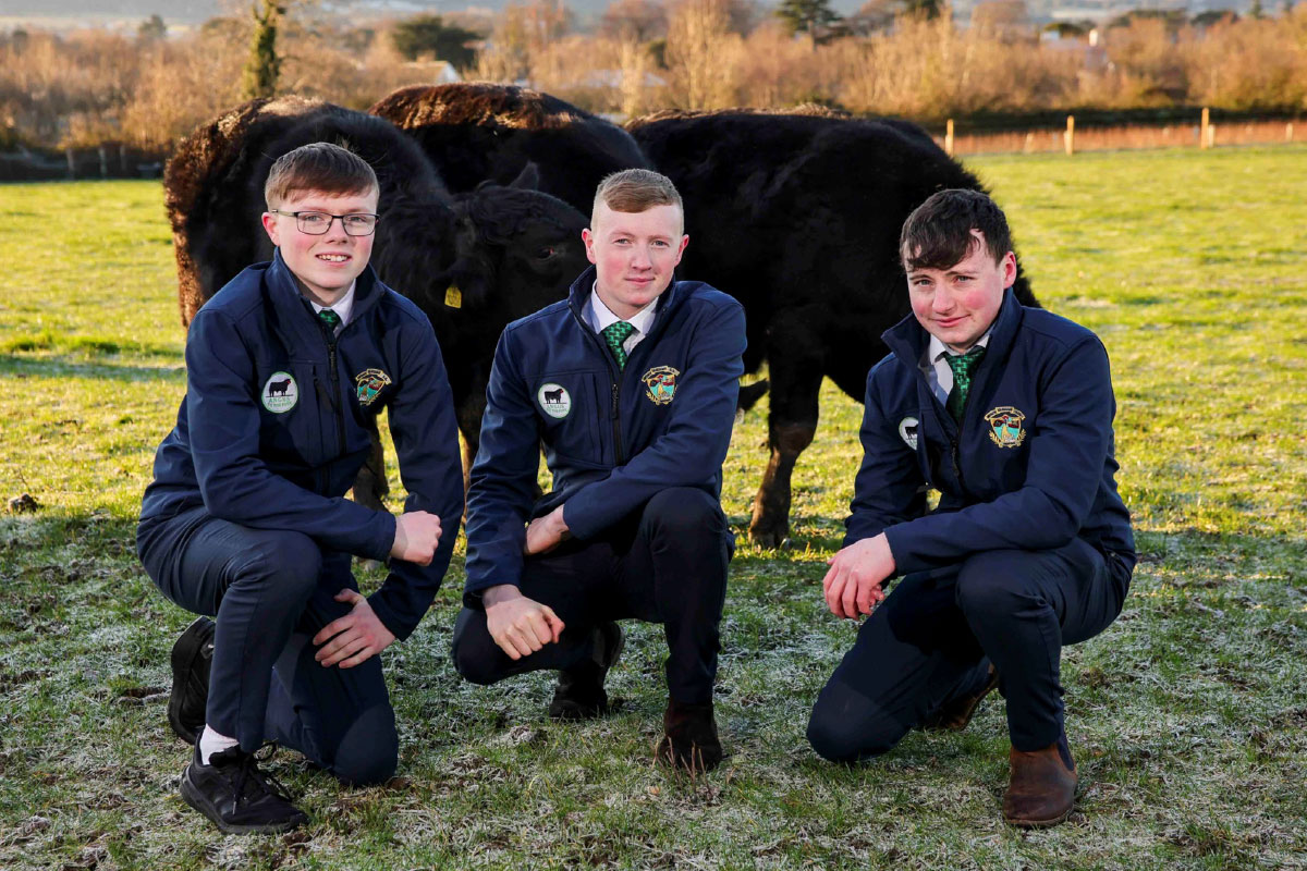 Mercy-Secondary-School,-Kilbeggan