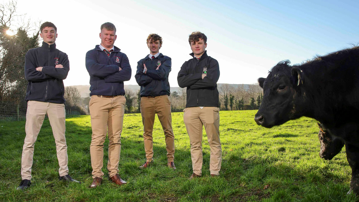 Villiers School Limerick