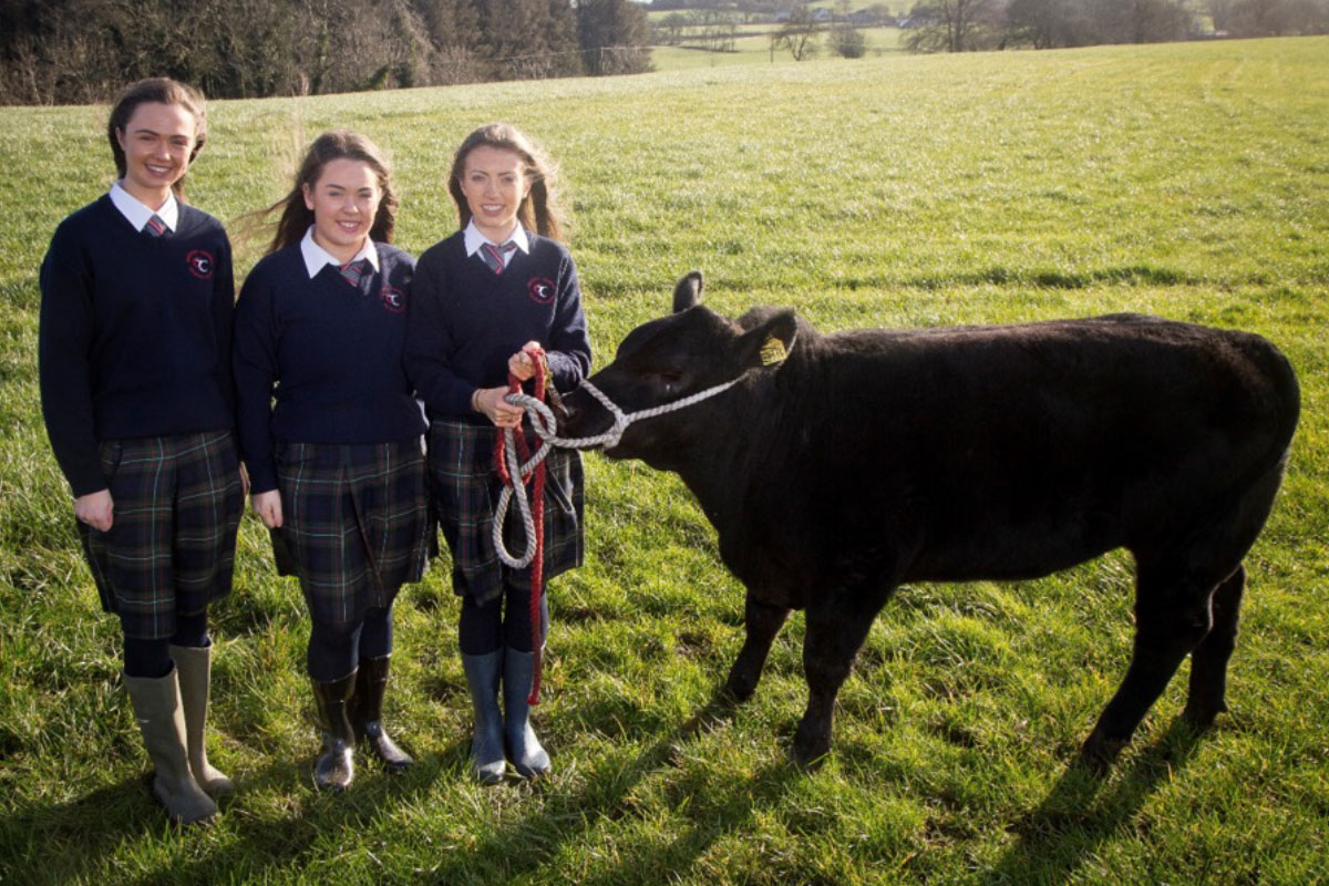 Colaiste Treasa Kanturk
