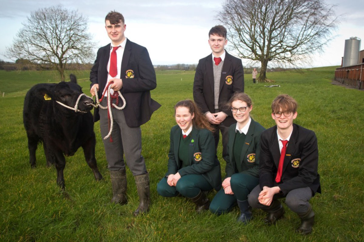 Royal School Cavan Town