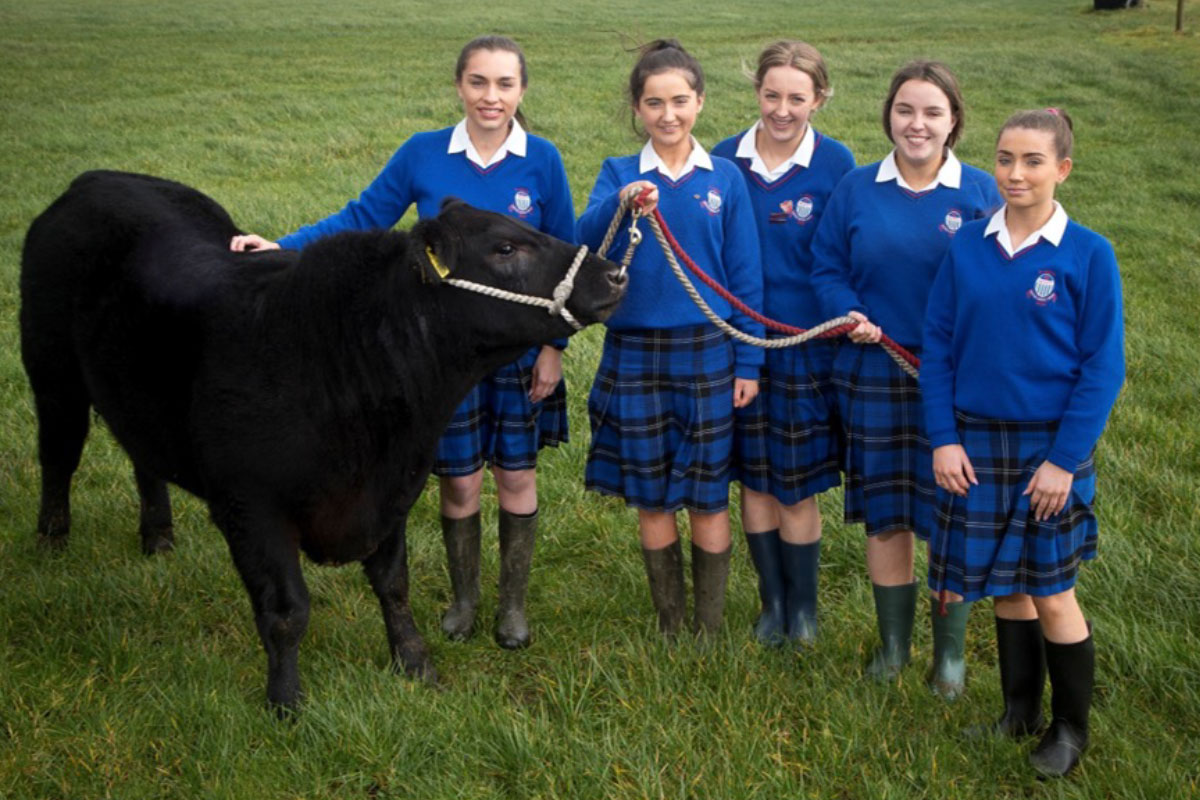St. Joseph's Mercy Secondary School Navan